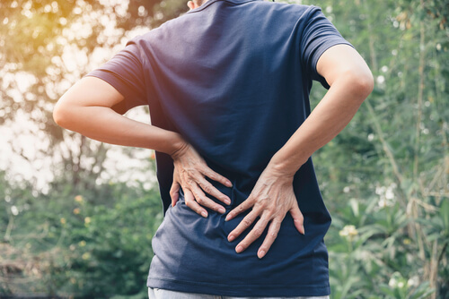The 3 parts of your spinal anatomy that are likely behind your lower back pain
